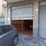Immagine WhatsApp 2023-10-13 ore 12.31.14_4f45a85b