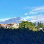 16514 via badia 3 CONSOLI (5)