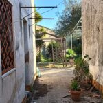 IMG20240201152601
