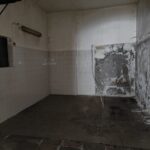 IMG-20240913-WA0015