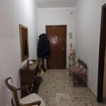 18310 D'amico (32) (Copy)
