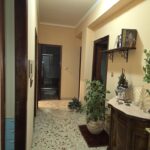18310 D'amico (35) (Copy)