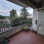 18310 D'amico (5) (Copy)