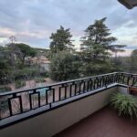 18310 D'amico (7) (Copy)