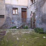 IMG-20250305-WA0011